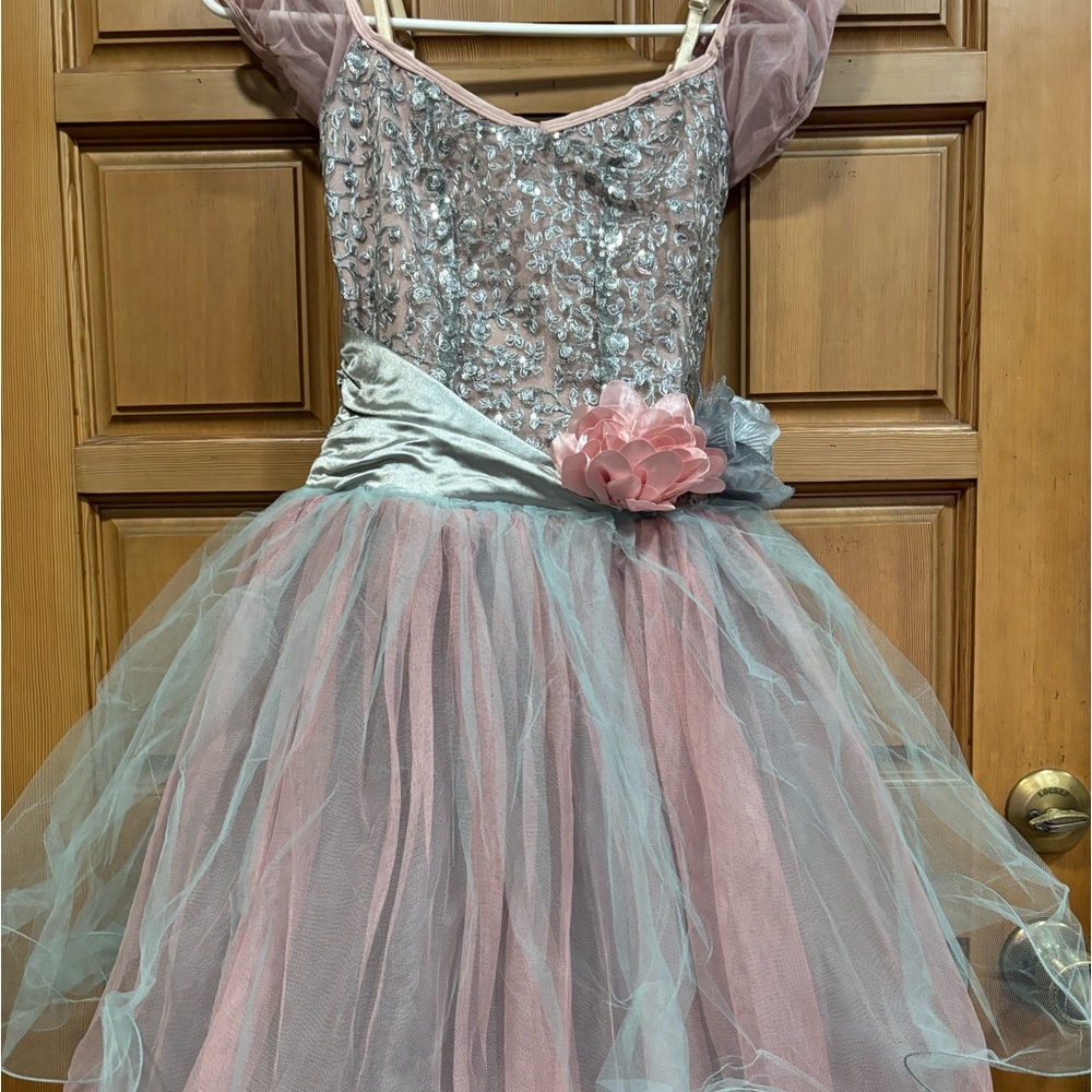 Ballet costume in great condition.
